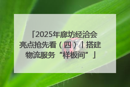 2025年廊坊经洽会亮点抢先看（四）丨搭建物流服务“样板间”