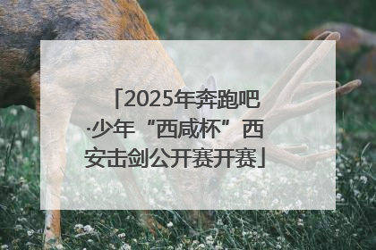 2025年奔跑吧·少年“西咸杯”西安击剑公开赛开赛