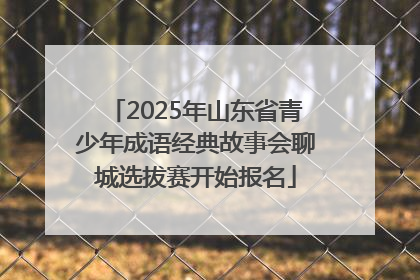 2025年山东省青少年成语经典故事会聊城选拔赛开始报名