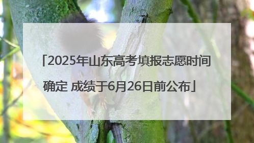 2025年山东高考填报志愿时间确定 成绩于6月26日前公布