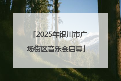 2025年银川市广场街区音乐会启幕