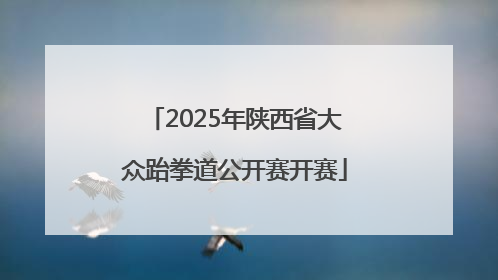 2025年陕西省大众跆拳道公开赛开赛