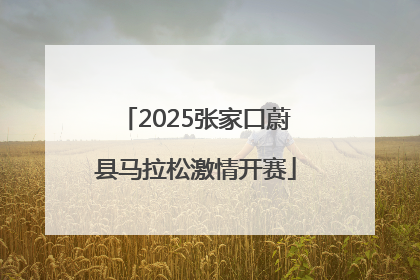 2025张家口蔚县马拉松激情开赛