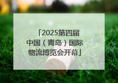 2025第四届中国（青岛）国际物流博览会开幕