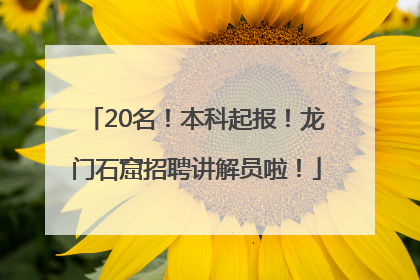 20名！本科起报！龙门石窟招聘讲解员啦！