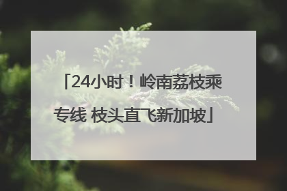 24小时！岭南荔枝乘专线 枝头直飞新加坡