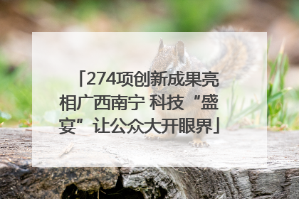 274项创新成果亮相广西南宁 科技“盛宴”让公众大开眼界