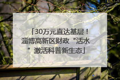 30万元直达基层！淄博高新区财政“活水”激活科普新生态