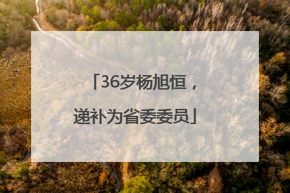 36岁杨旭恒，递补为省委委员