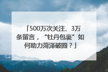 500万次关注、3万条留言，“牡丹包裹”如何助力菏泽破圈？