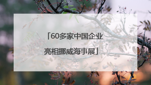 60多家中国企业亮相挪威海事展