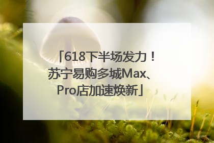 618下半场发力！苏宁易购多城Max、Pro店加速焕新