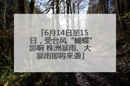6月14日至15日，受台风“蝴蝶”影响 株洲暴雨、大暴雨即将来袭