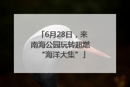 6月28日，来南海公园玩转超燃 “海洋大集”
