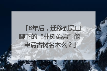8年后，迁移到吴山脚下的“朴树弟弟”能申请古树名木么？