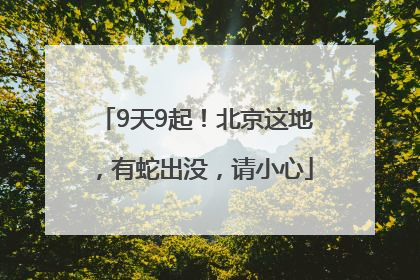 9天9起！北京这地，有蛇出没，请小心