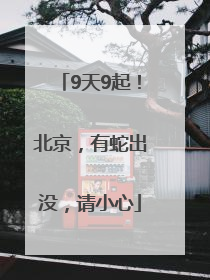 9天9起！北京，有蛇出没，请小心