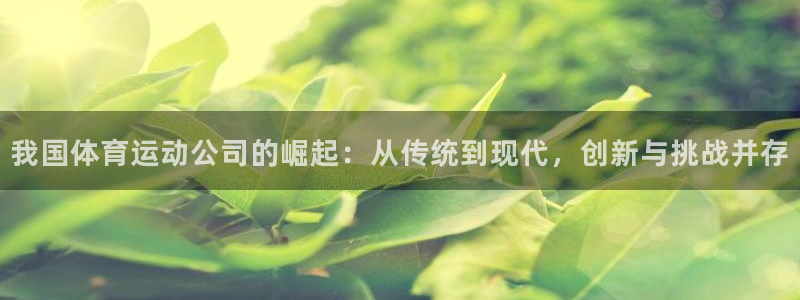 上海蓝图娱乐汽车电子有限公司