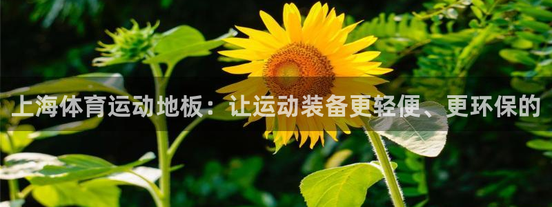 蓝图娱乐体育平台开号链接