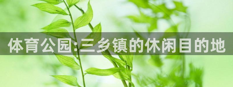 蓝图娱乐主管