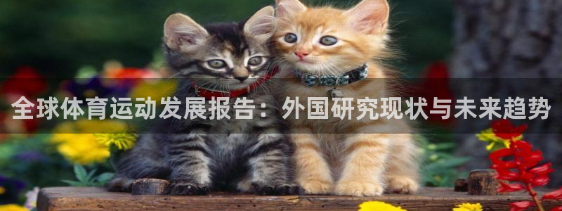 意昂平台登陆