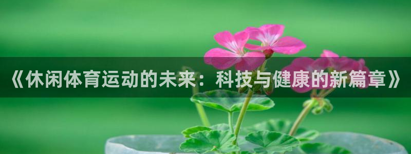 蓝图娱乐5