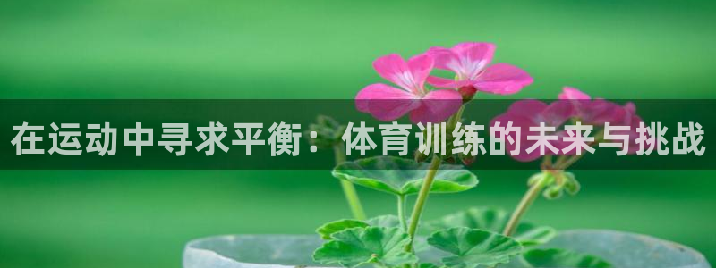 蓝图娱乐2登录入口