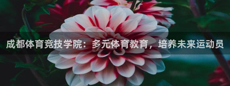 蓝图娱乐3登录