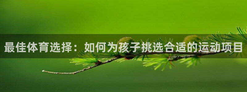 上海蓝图娱乐汽车电子有限公司