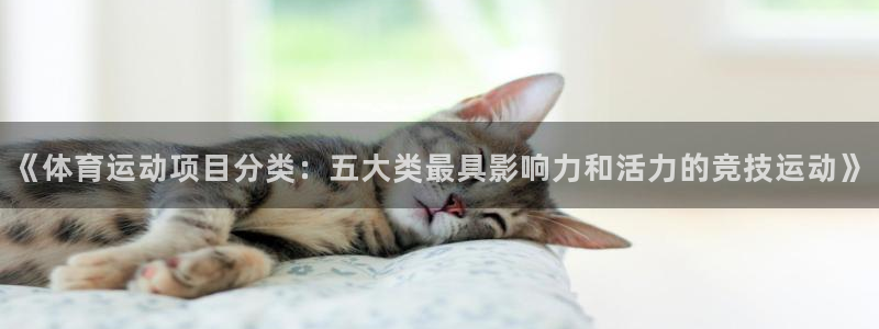成都蓝图娱乐电子有限公司