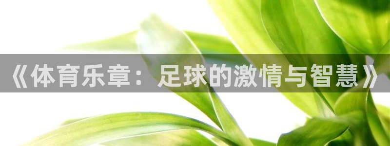 蓝图娱乐3代理