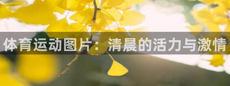 广州市意昂智能科技有限公司