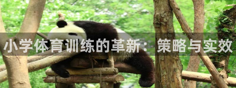 蓝图娱乐体育网页版入口
