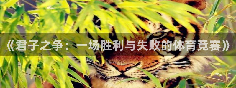 意昂体育官网登录