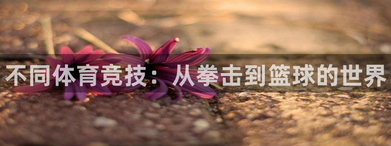 佛山市南海蓝图娱乐机电仪器有限公司