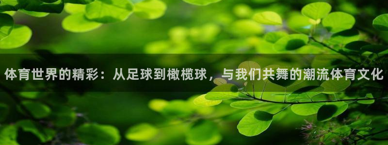 蓝图娱乐凯捷注册