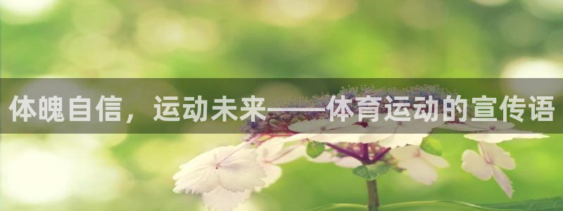 成都蓝图娱乐电子有限公司
