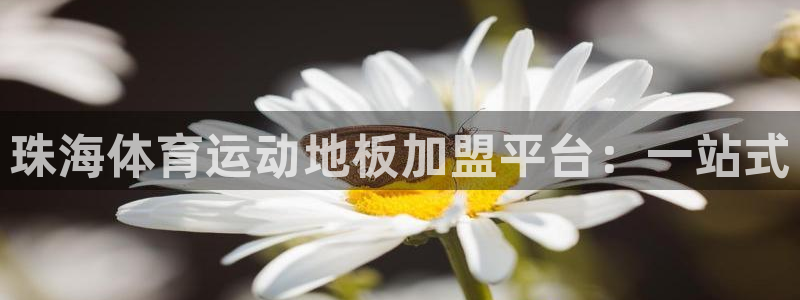 蓝图娱乐体育2