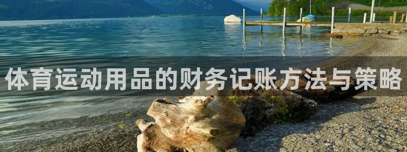 佛山市南海蓝图娱乐机电仪器有限公司