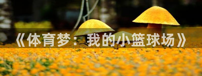 意昂代理注册官网入口