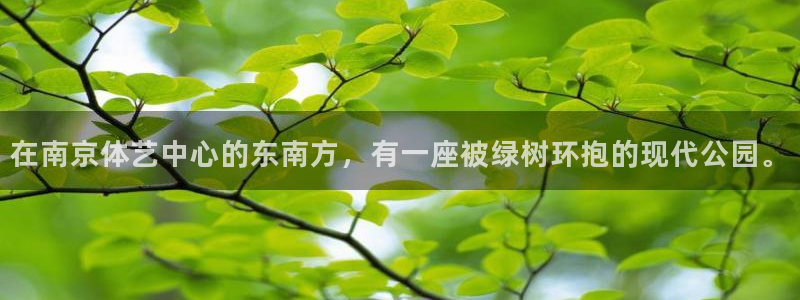 意昂集团股票